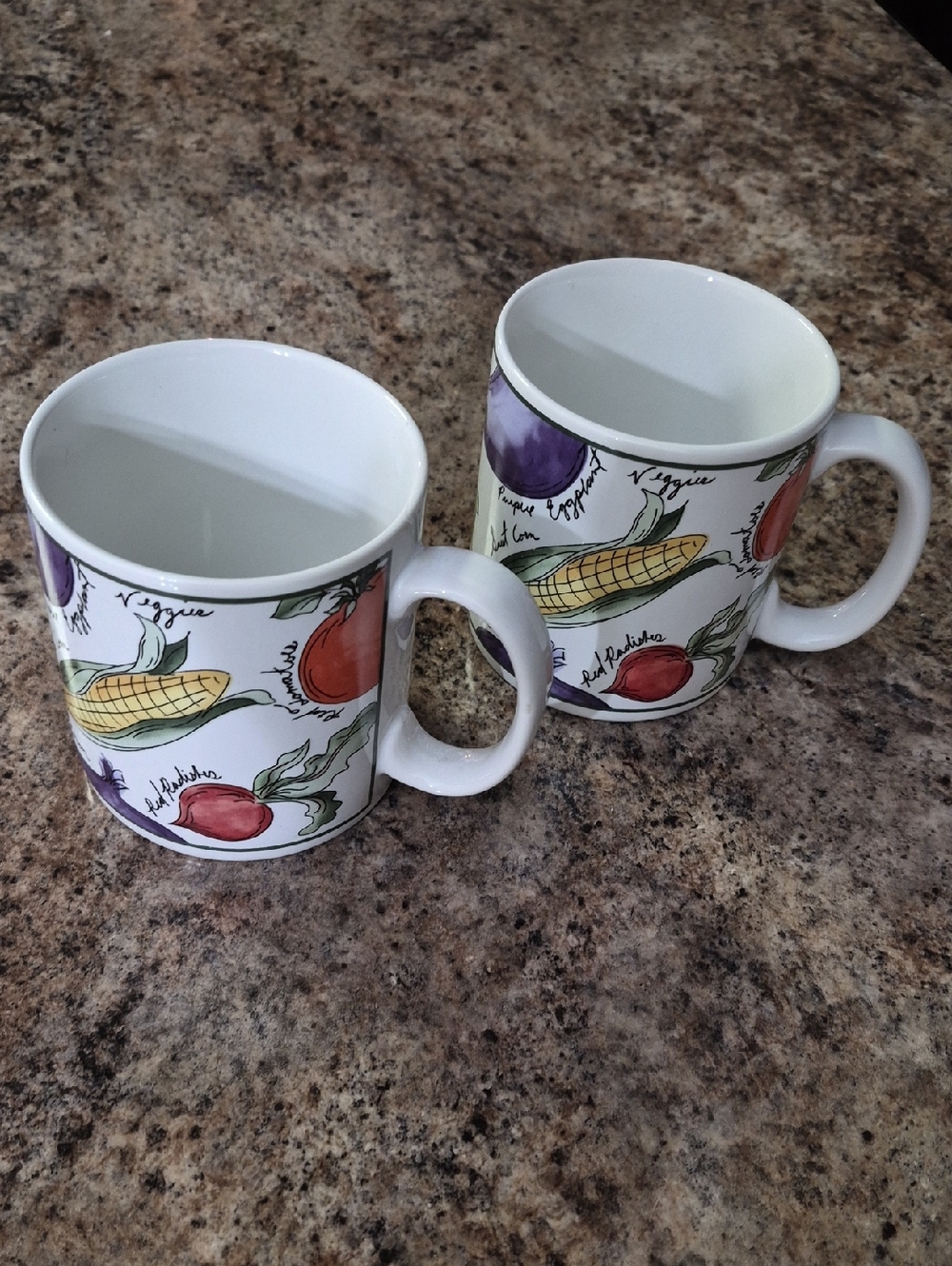 FURIO Garden Delight Mugs 2 Vegetable Pattern 4×3 1/2